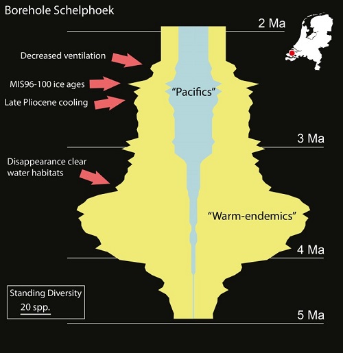 Borehole Schelphoek