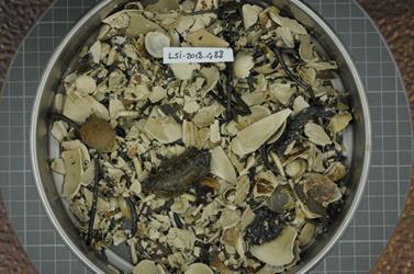 Bulksample