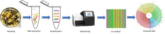 Overview metabarcoding proces