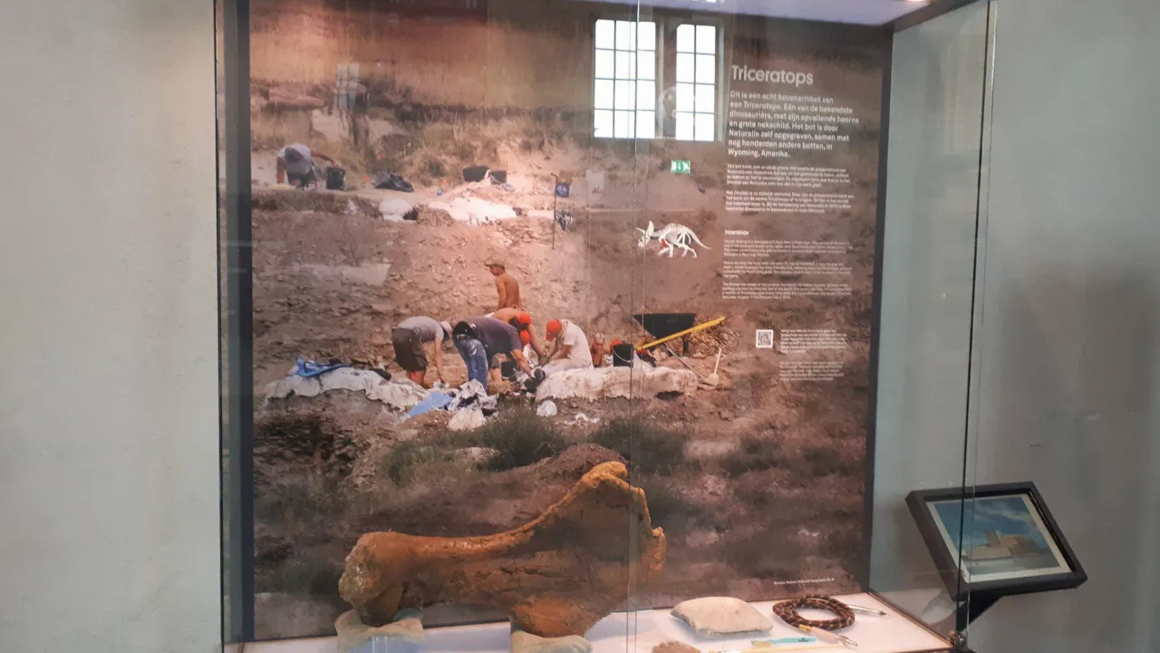 Bot in museum