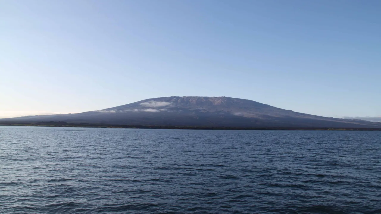 Fernandina Island Galápagos