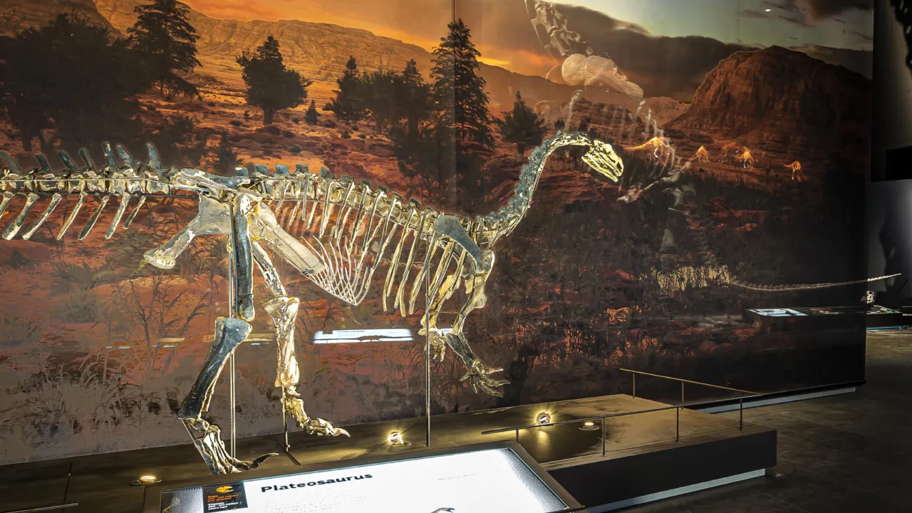 Naturalis zaal dinotijd