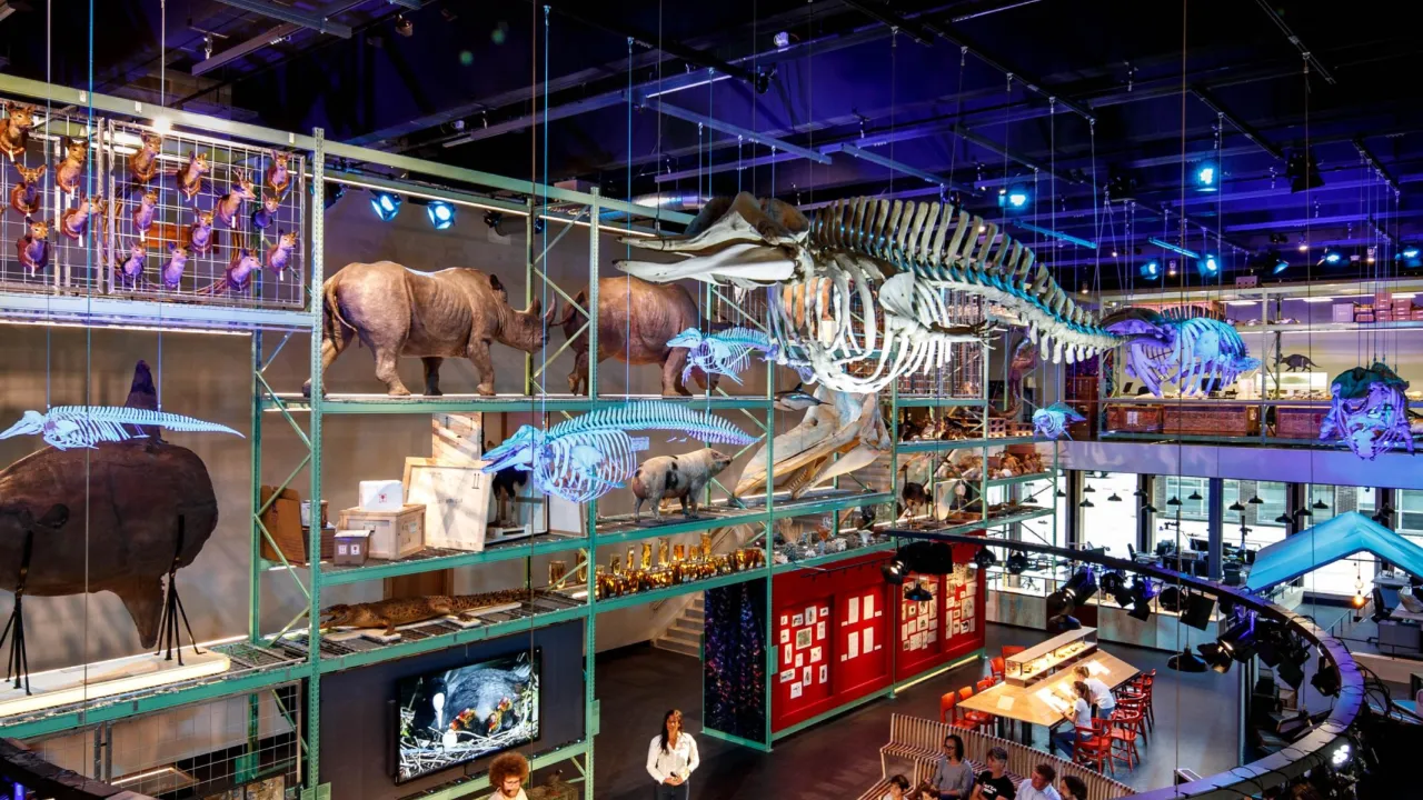 LiveScience zaal