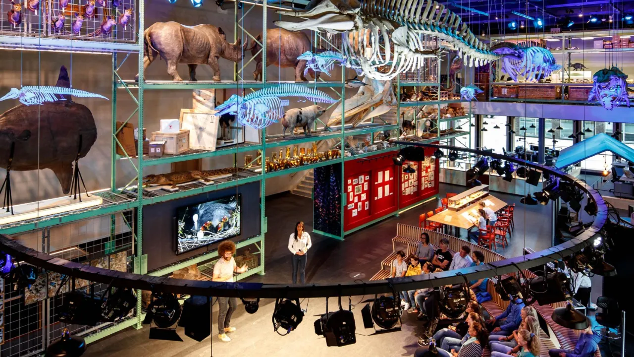 Zaal LiveScience