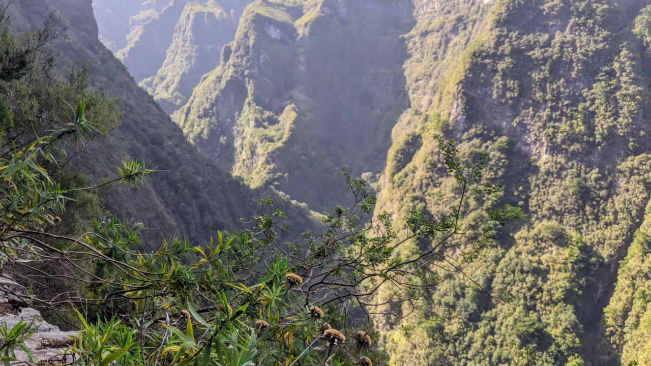 Madeira