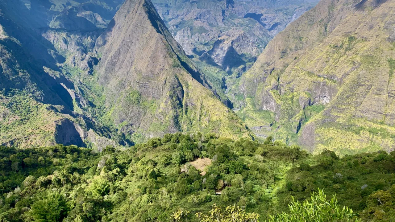habitat