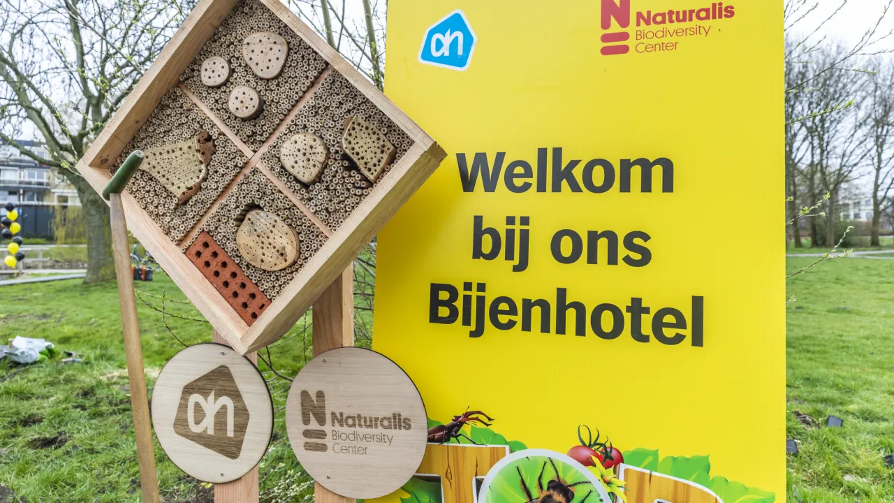 Bijenhotel