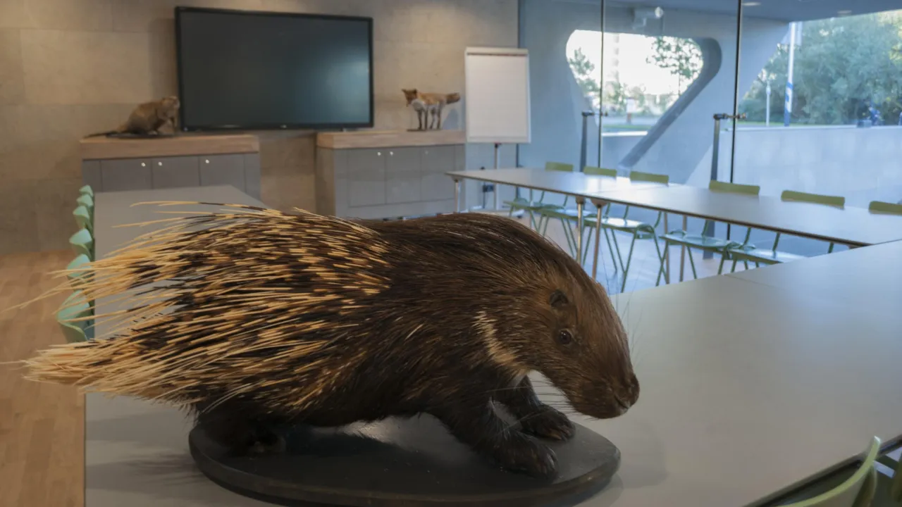 The Atelier Naturalis