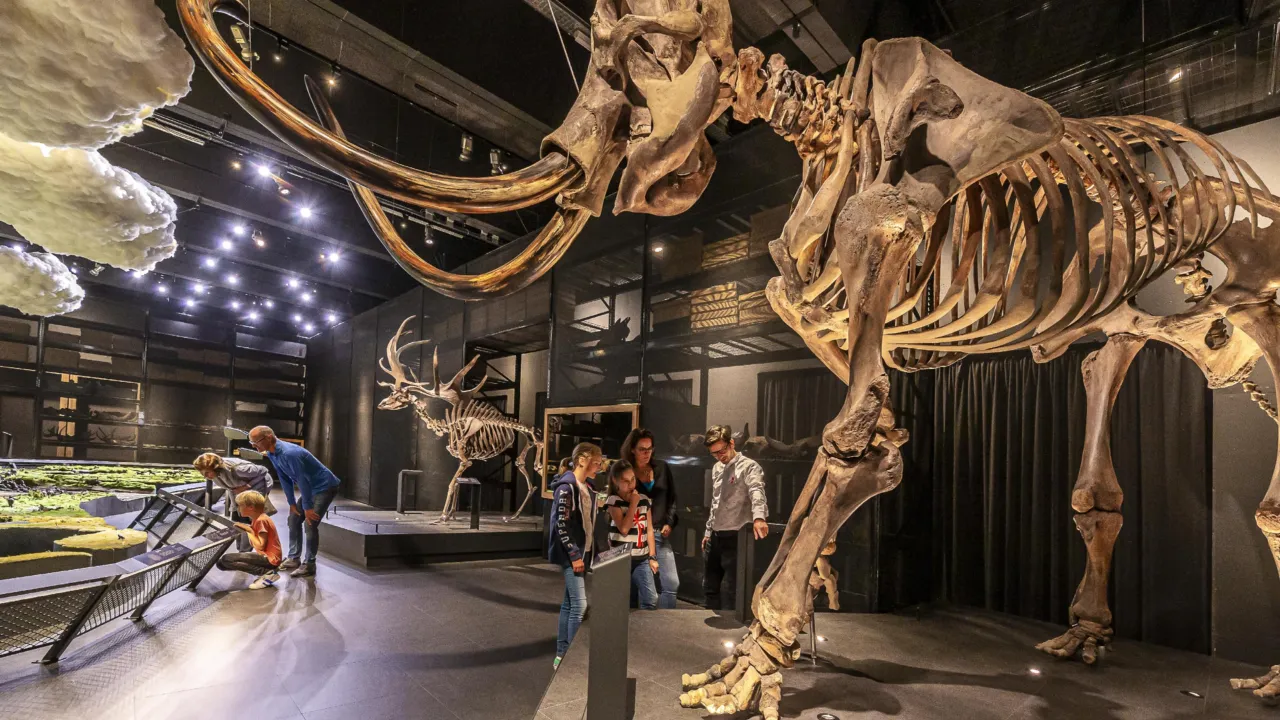 Mammoth at the gallery Ice Age