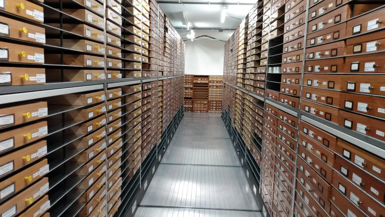 collectiedepot Hymenoptera, 1 van de vele gangpaden