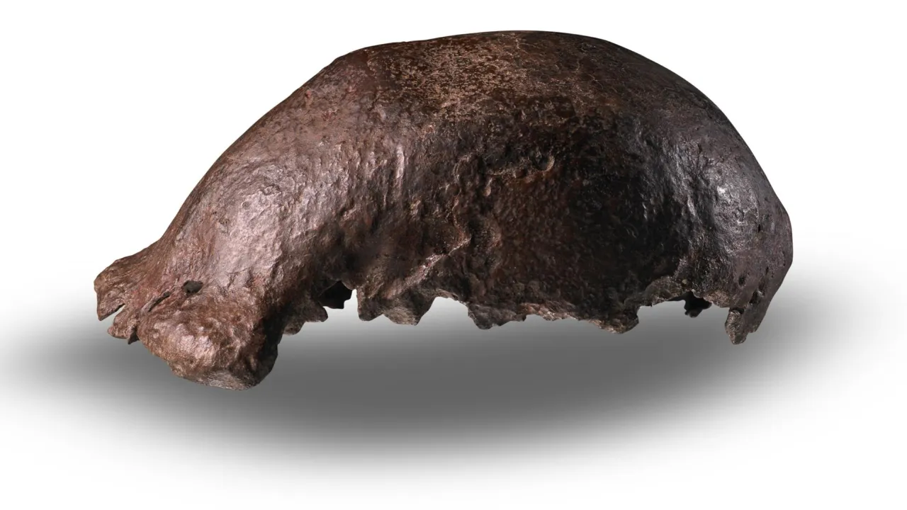 Dubois skull cap