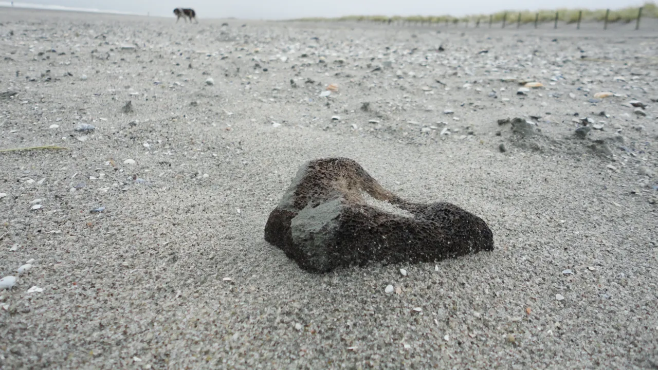 Bot op de maasvlakte