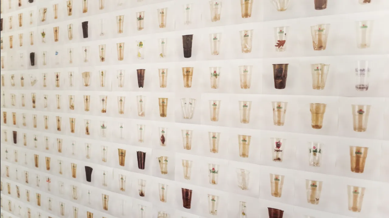 Exposition of the CanalCups