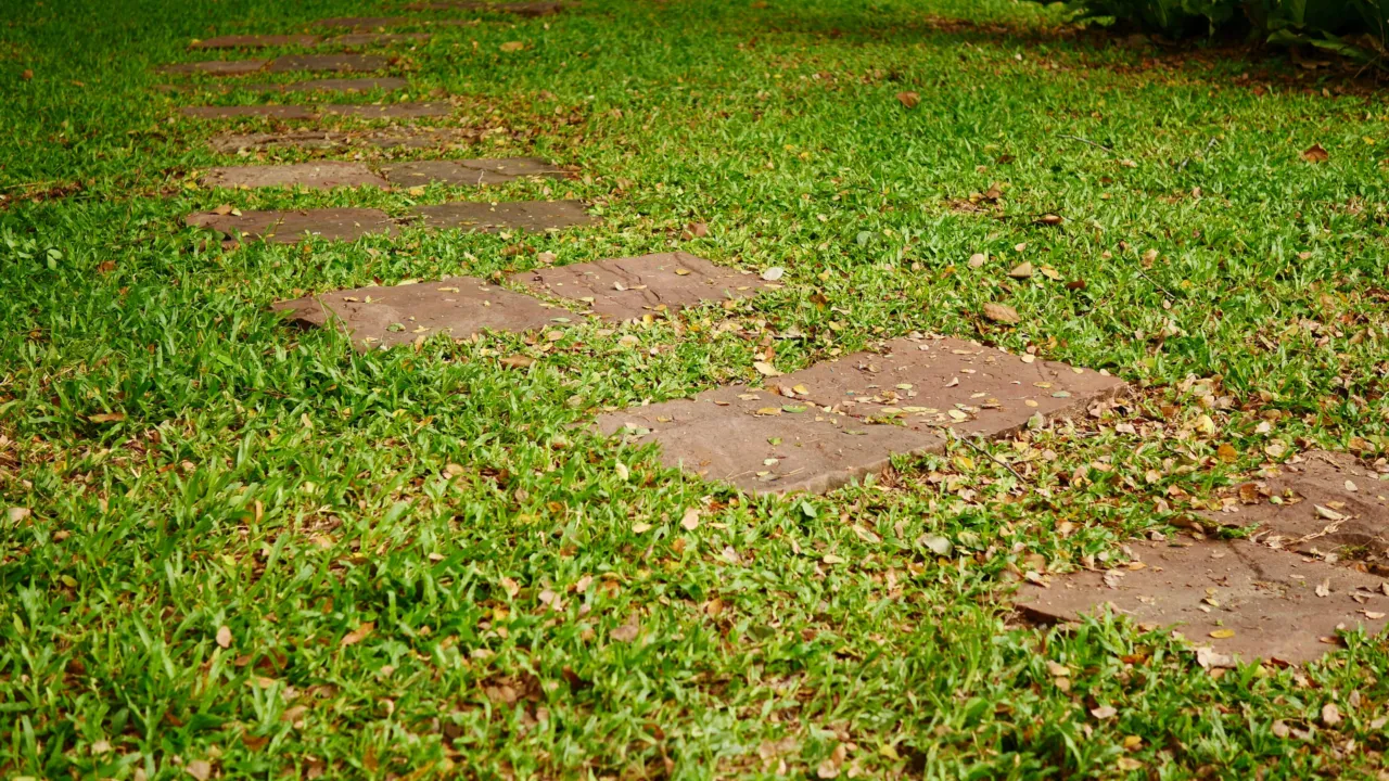 tegelpad