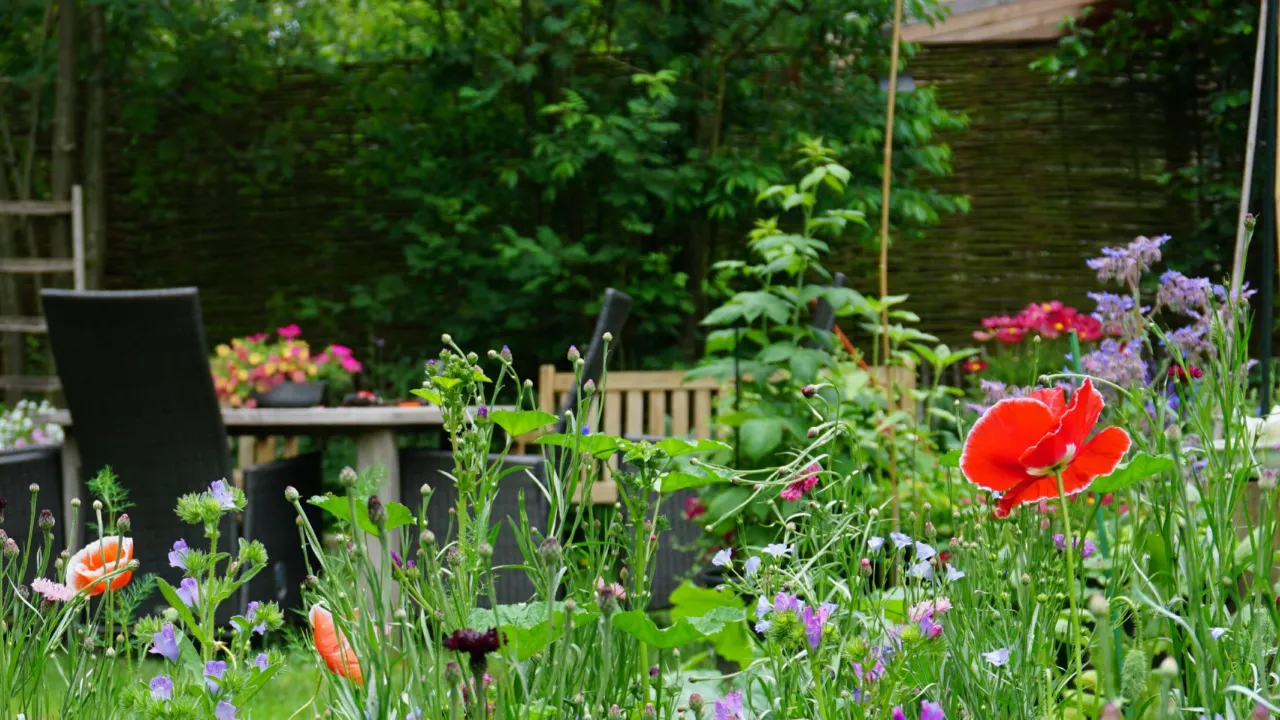 Nederlandse tuin 