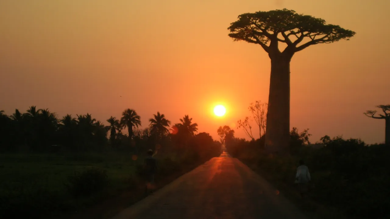 Madagascar