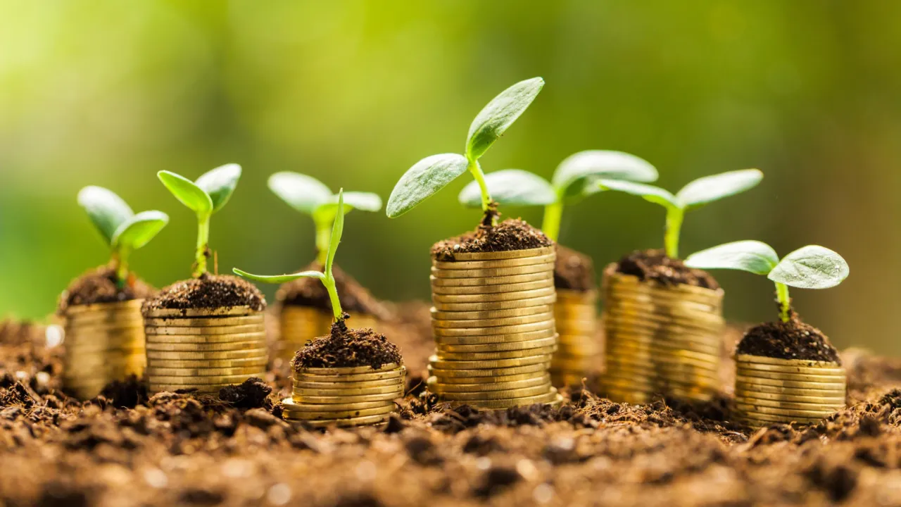 Gestapelde geld munten met bovenop groeiende planten