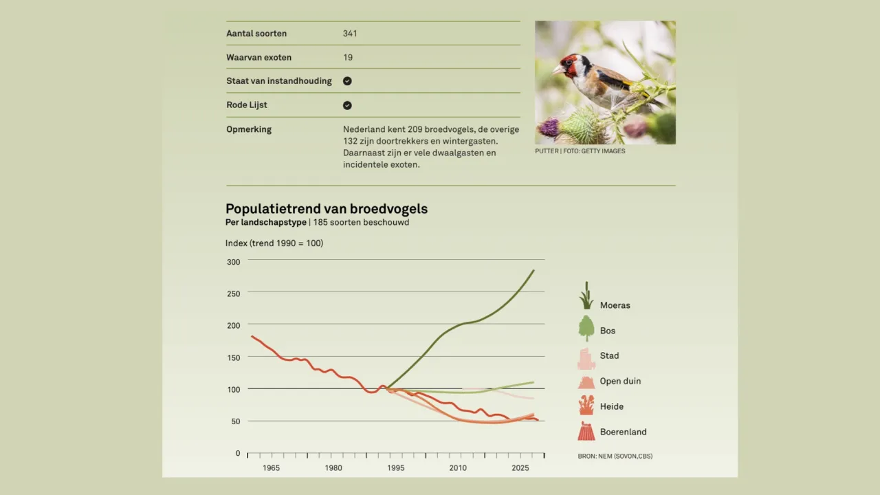 Status vogels. Meestal slecht.