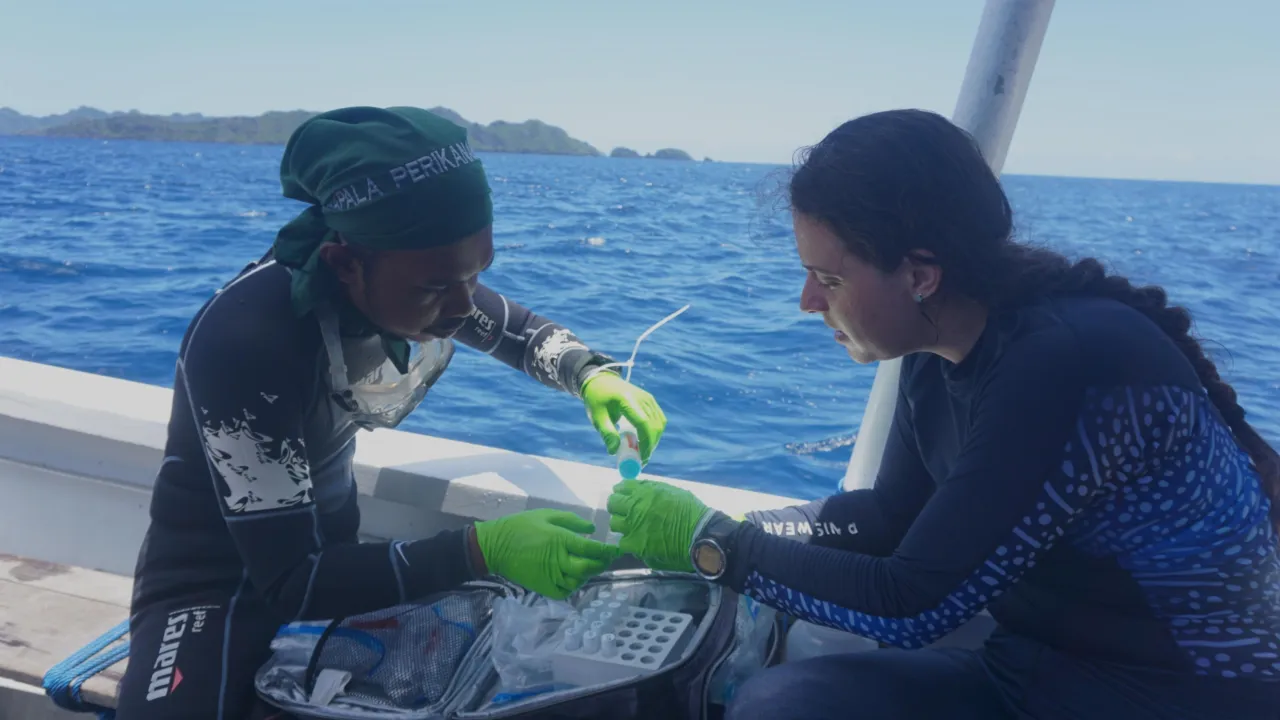 fieldwork
