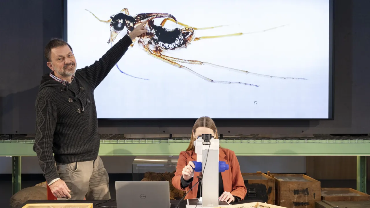 Jan en Aglaia in LiveScience