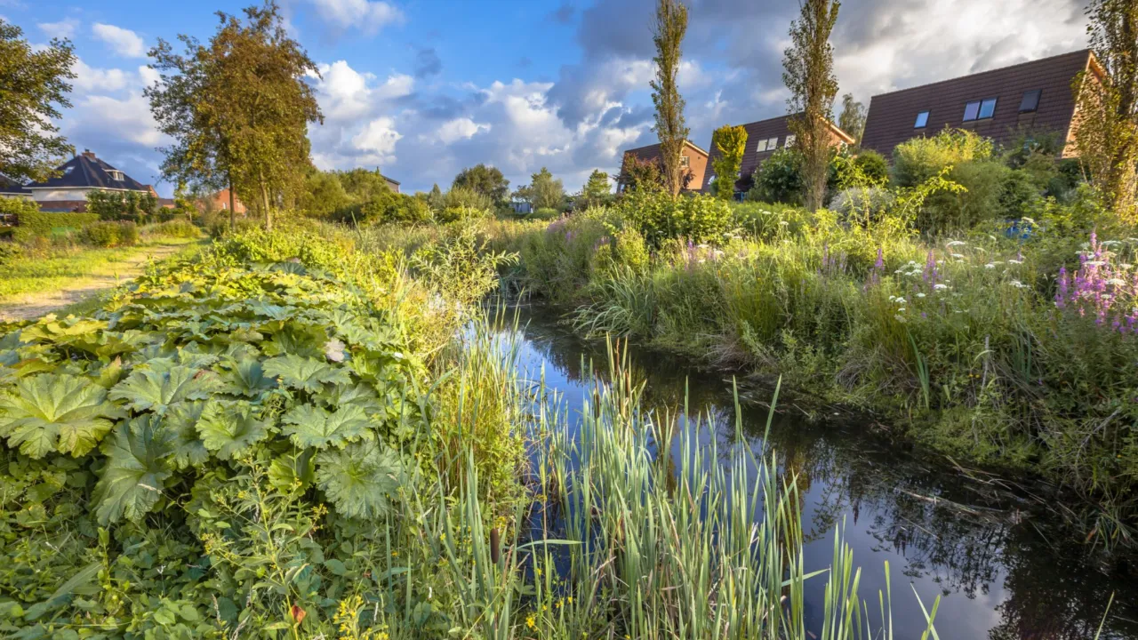 Natuurrijke wijk in Oost Nederland
