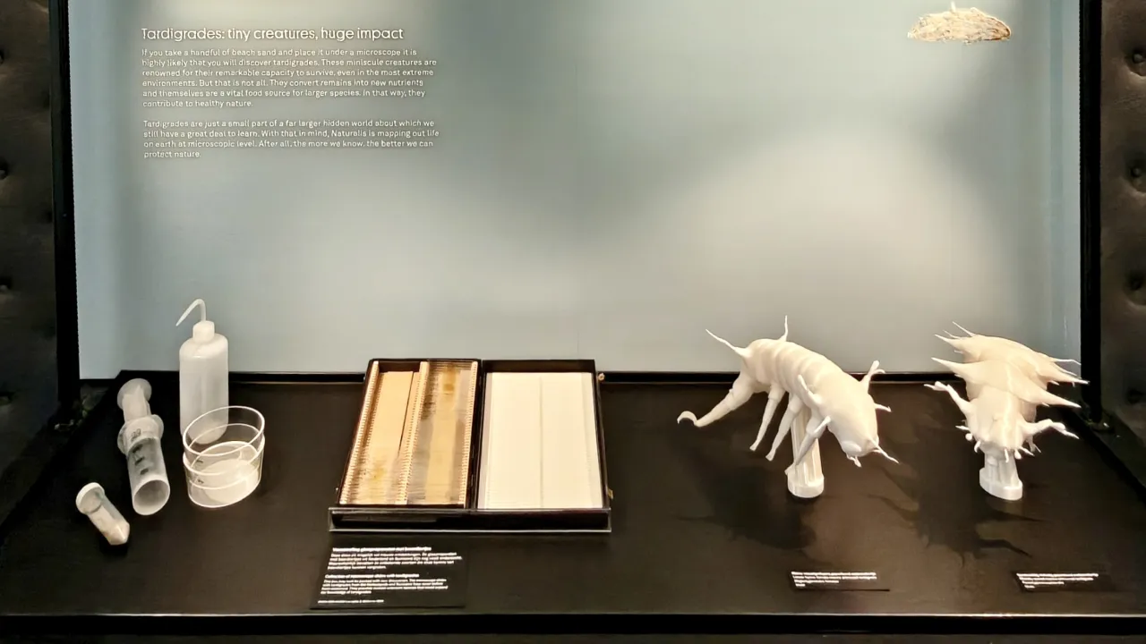 Museum display in LiveScience