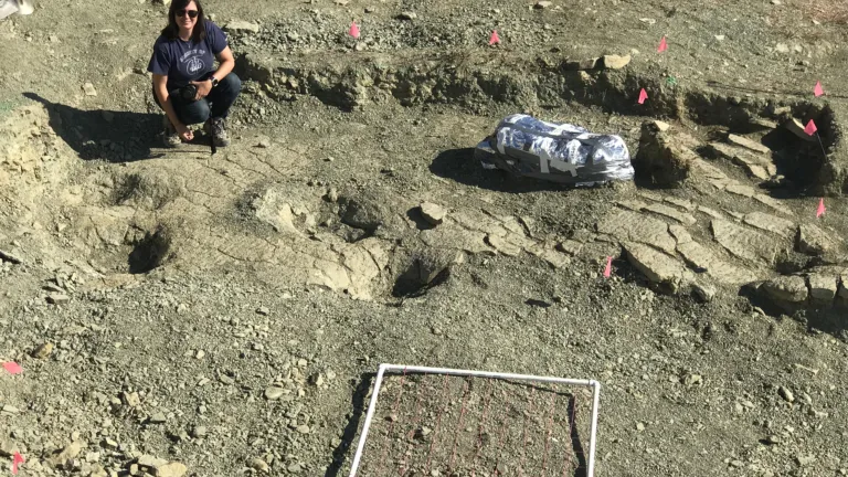 Dinosporen bij de Jurassic Mile