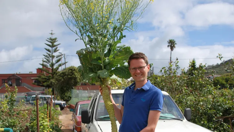 Dit is Frederic Lens met een gigantische houtige kool