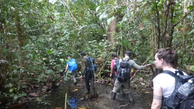 Hiking through the dense jungle to reach limestone outcrops