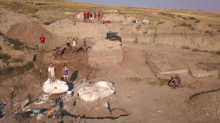 Overview Triceratops Dig