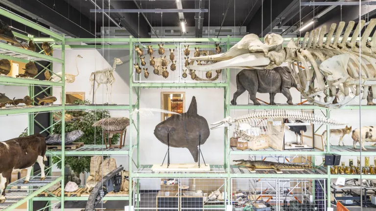 LiveScience Naturalis