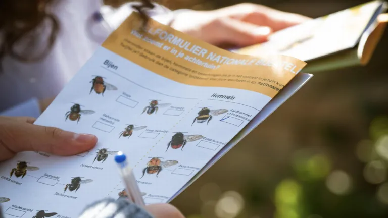 Bee guide