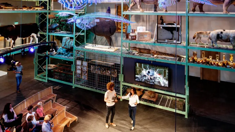 LiveScience