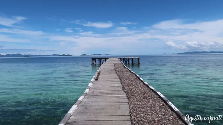 reef