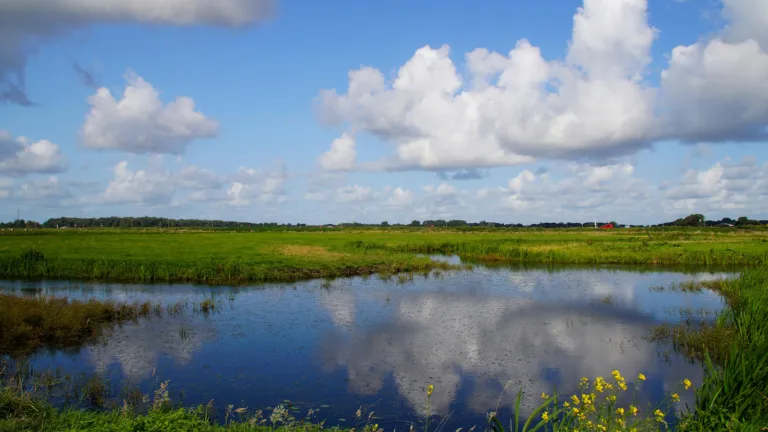 Nederlandslandschap (Marit Moerman)