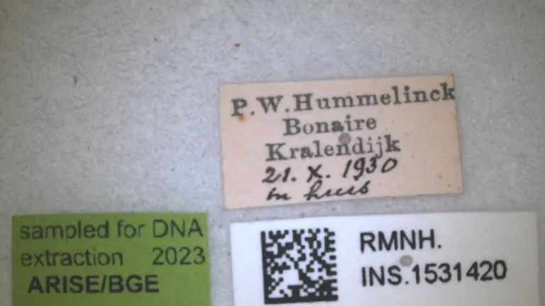Labels van specimen uit Bonaire