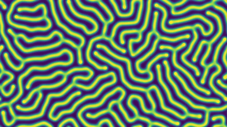 Example of a Turing pattern as created by the Gray-Scott model - visualPDE