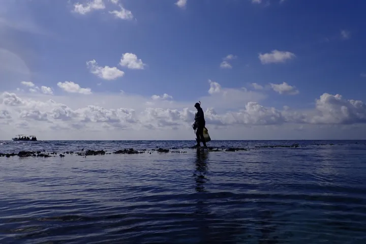 researcher at sea