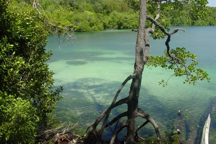 Marine lakes