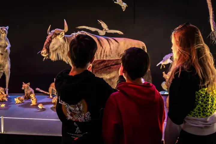 Kinderen zaal Leven programma