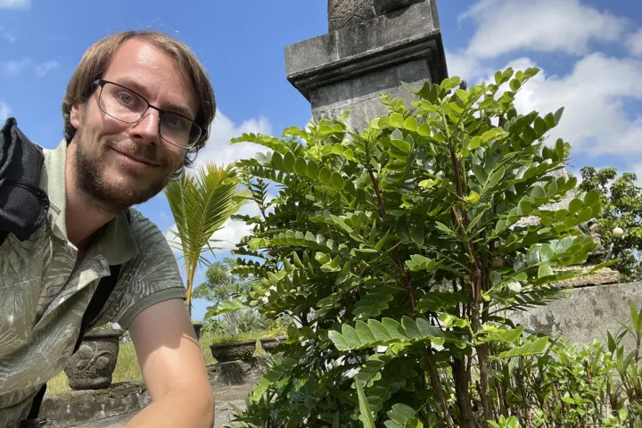 Roderick met phyllanthus