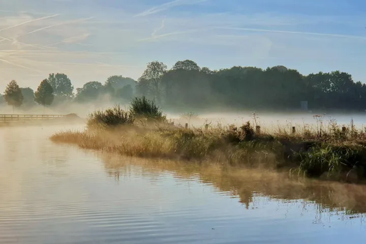 Nederlands landschap