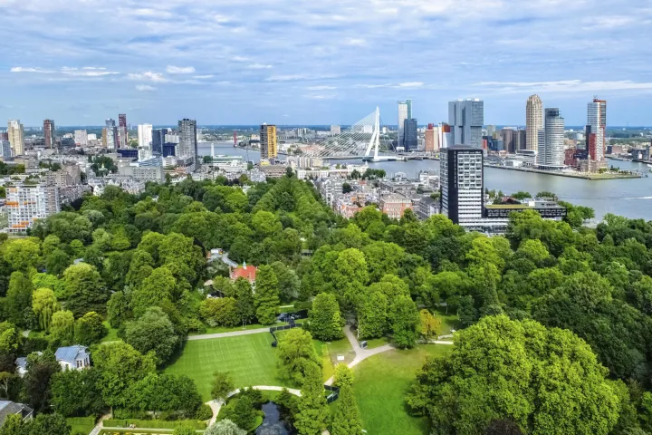 Skyline van Rotterdam, je ziet onder andere de Erasmusbrug