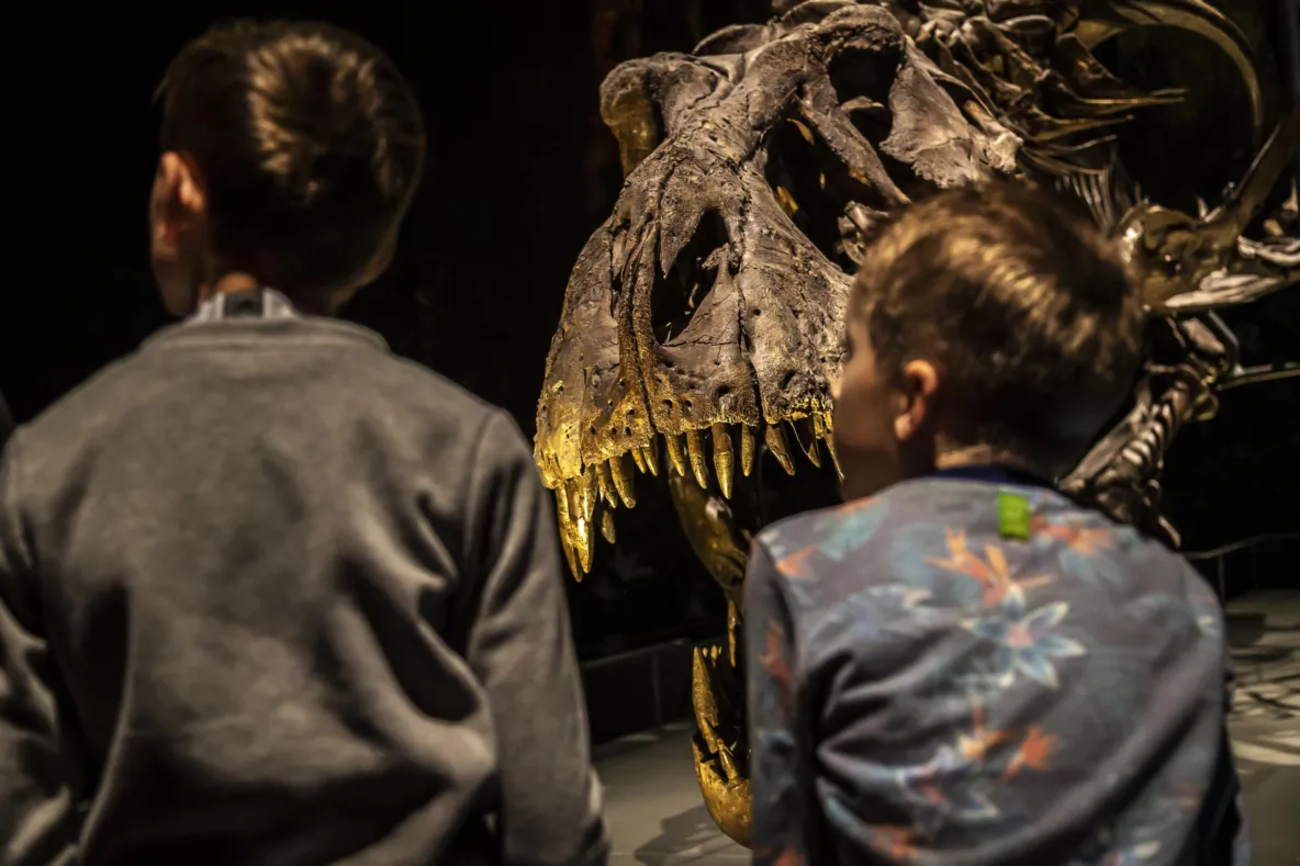 Jongens voor T. rex