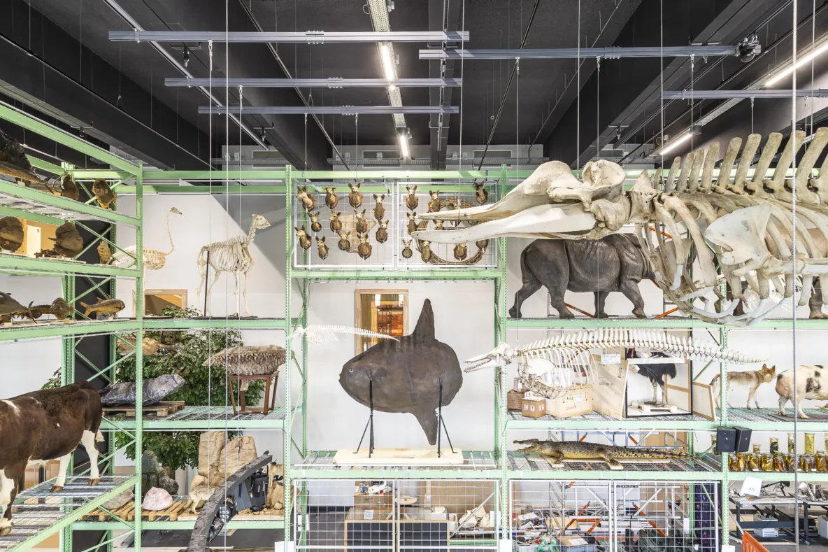 LiveScience Naturalis Biodiversity Center