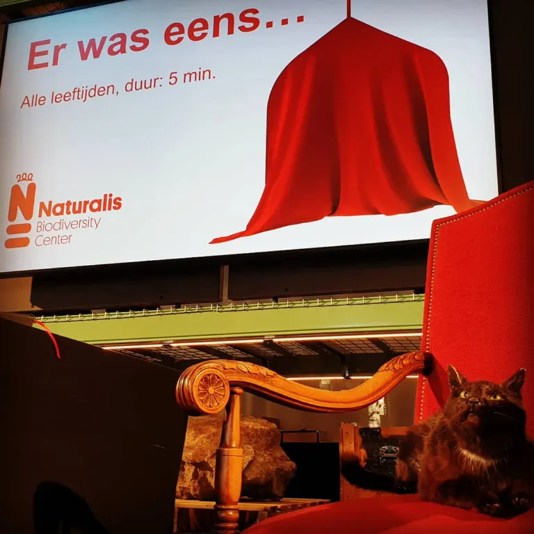 De stoel, kat en presentatie van Er was eens