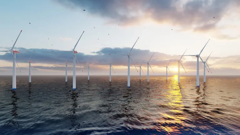 Foodwebs North Sea