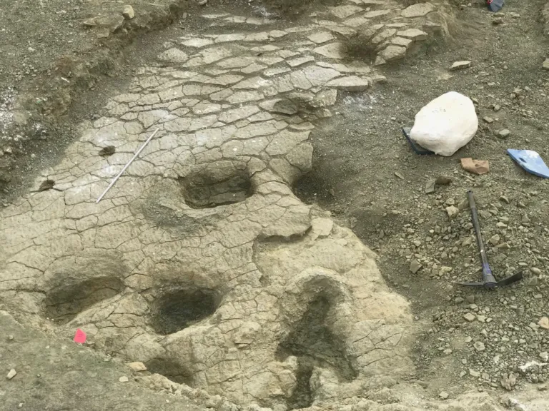Dinosporen in de Jurassic Mile