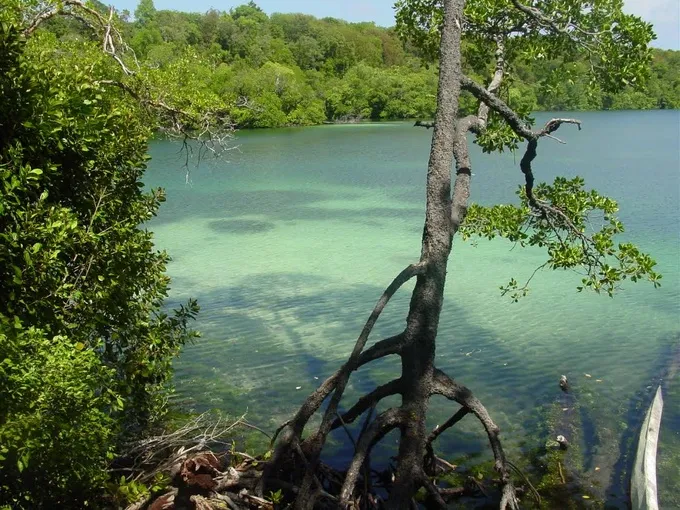 Marine lakes