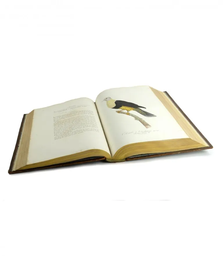 Duivenboek